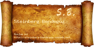 Steinberg Bendegúz névjegykártya